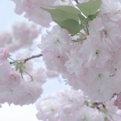 双峰FurryQQ群介绍